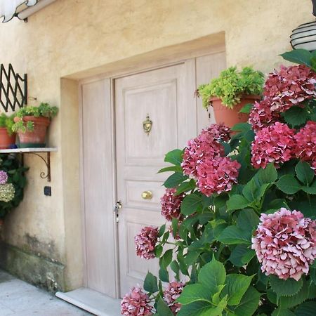 Guest House La Marignana Mogliano Veneto Bagian luar foto