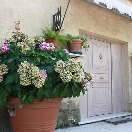 Guest House La Marignana Mogliano Veneto Bagian luar foto